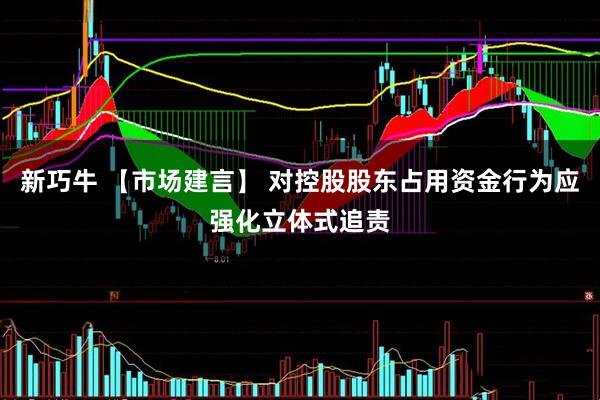 新巧牛 【市场建言】 对控股股东占用资金行为应强化立体式追责