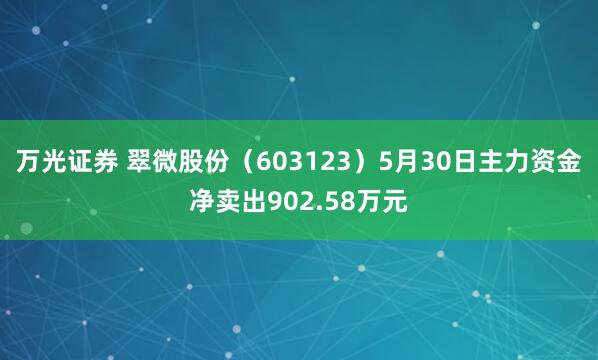 万光证券 翠微股份（603123）5月30日主力资金净卖出902.58万元
