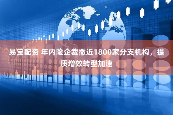 易宝配资 年内险企裁撤近1800家分支机构，提质增效转型加速