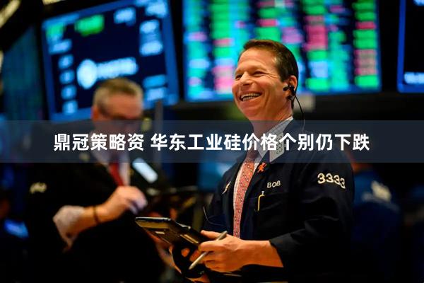 鼎冠策略资 华东工业硅价格个别仍下跌