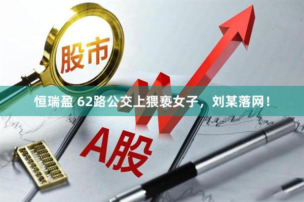 恒瑞盈 62路公交上猥亵女子，刘某落网！