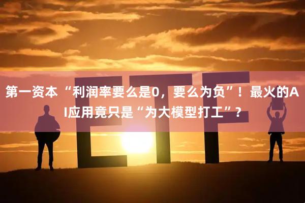 第一资本 “利润率要么是0，要么为负”！最火的AI应用竟只是“为大模型打工”？