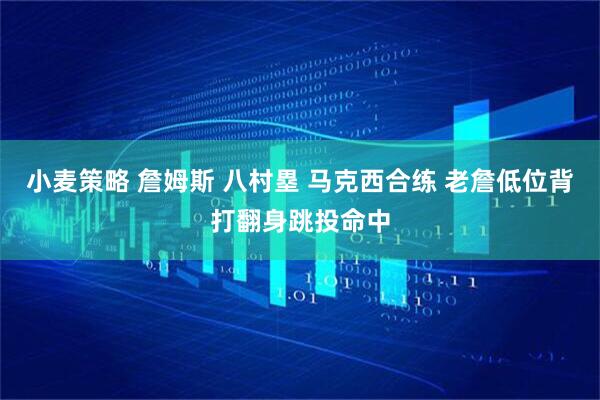小麦策略 詹姆斯 八村塁 马克西合练 老詹低位背打翻身跳投命中