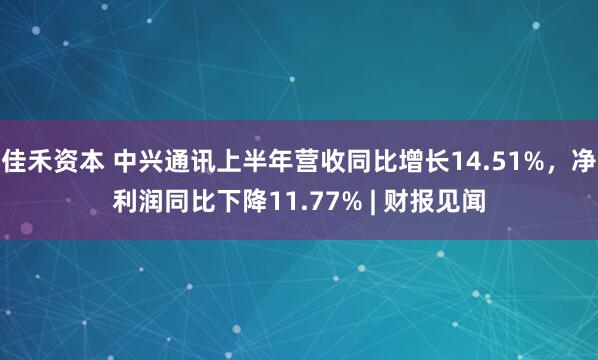 佳禾资本 中兴通讯上半年营收同比增长14.51%，净利润同比下降11.77% | 财报见闻