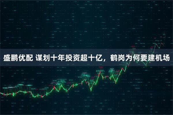 盛鹏优配 谋划十年投资超十亿，鹤岗为何要建机场