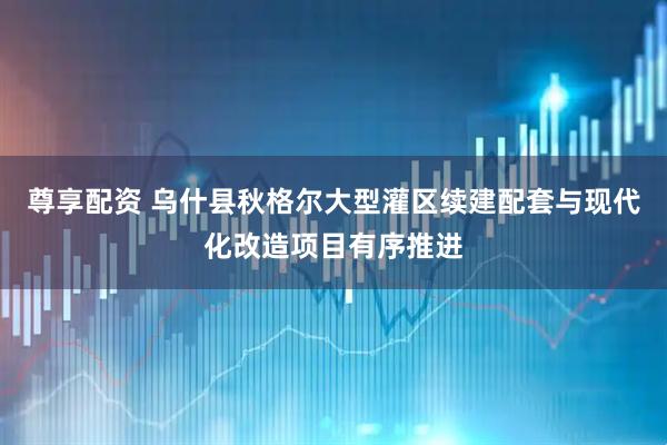 尊享配资 乌什县秋格尔大型灌区续建配套与现代化改造项目有序推进